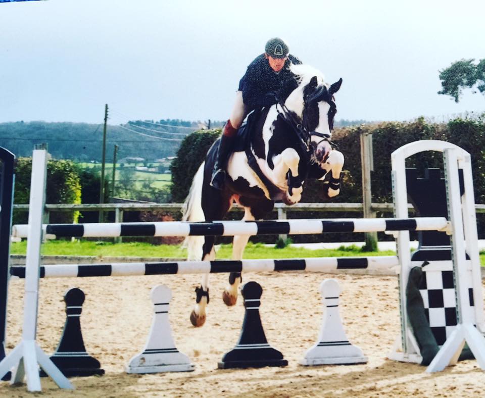 Coloured Stallions at Stud